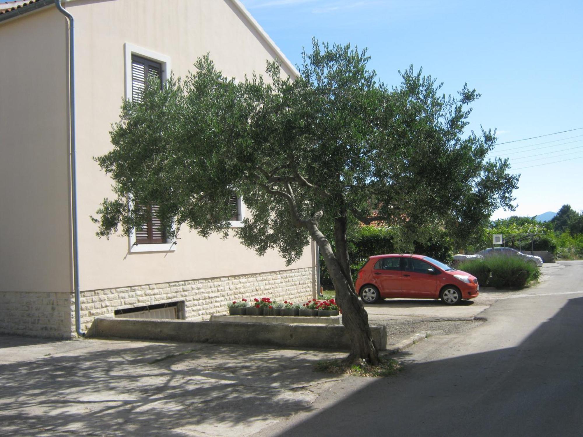 Apartments Blanka Zadar Extérieur photo